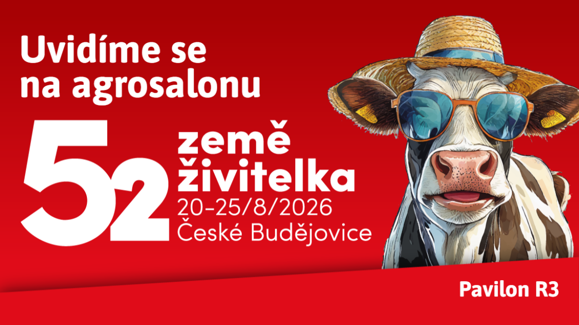 ZZ kalendar