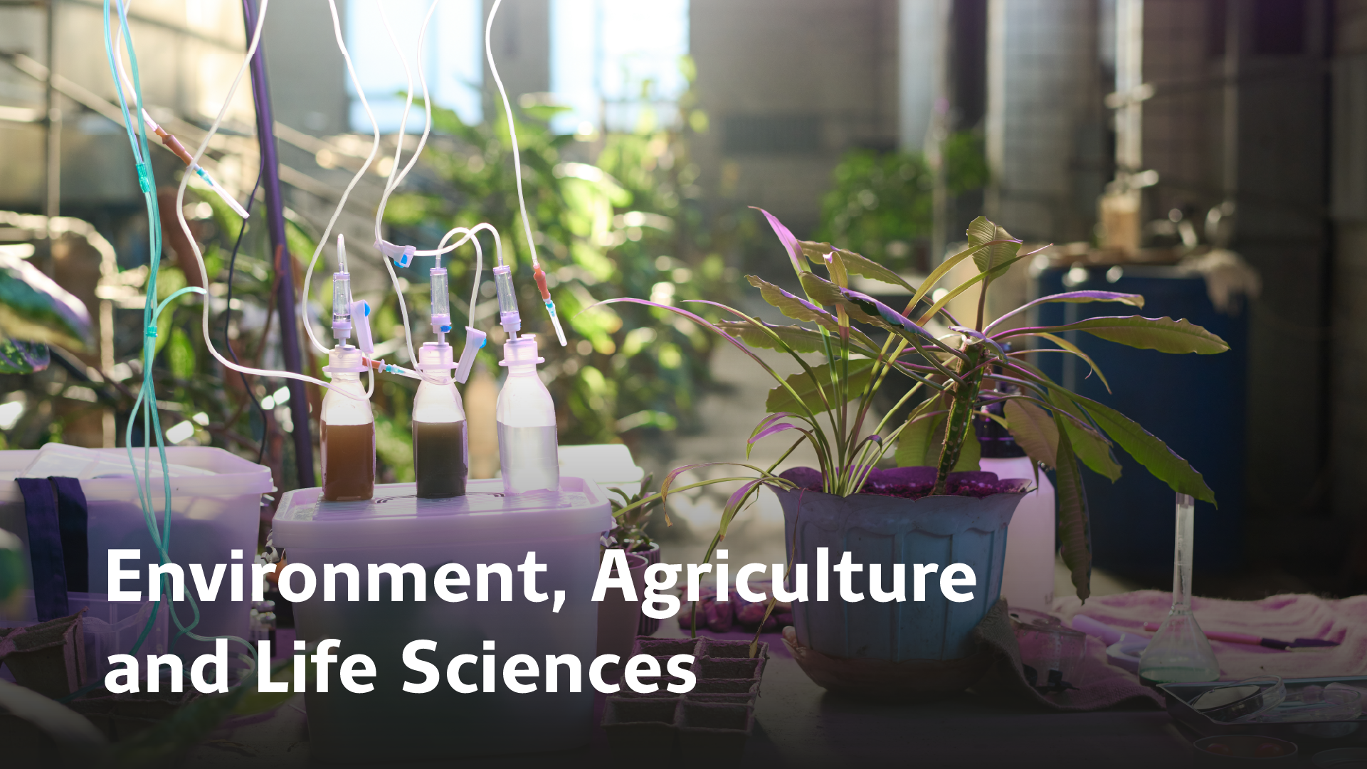 Enviroment, Agriculture and Life Sciences
