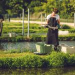 Jihočeská univerzita