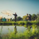 Jihočeská univerzita