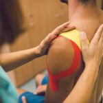 Jihočeská univerzita