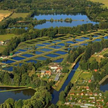 National Infrastructures on the Roadmap of Large Research Infrastructures